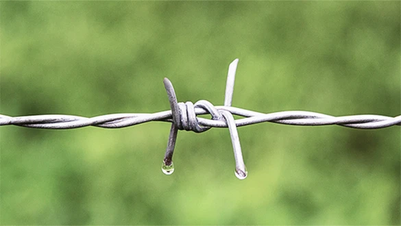 Wide Selection For Diverse Applications