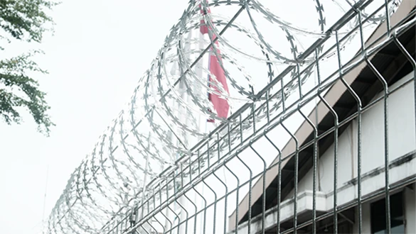 Security & Aesthetics for Your Perimeter