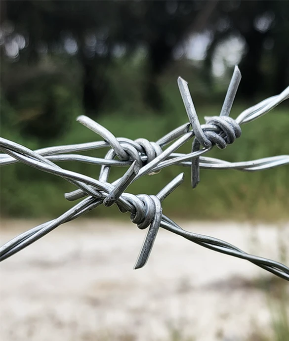 Larger Barb More Durable