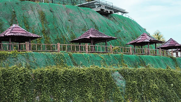 BEVA GREENMATT® Batang Asai