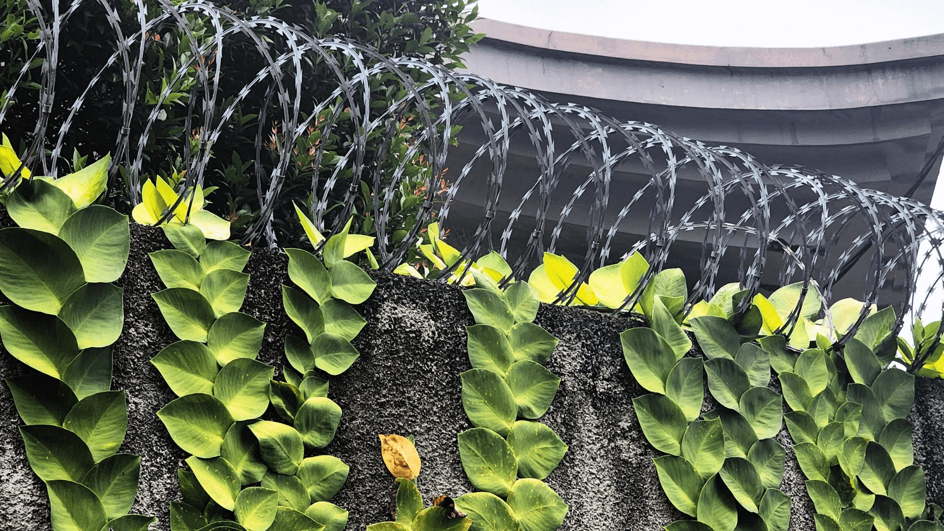 Supplementary Security Solutions